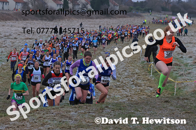 Senior womens 2025 Start Fitness NEHL, Wrekenton, Gateshead. Photo: David T. Hewitson/Sports for All Pics